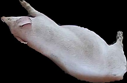 Crop