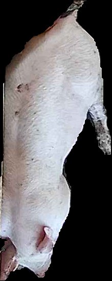 Crop