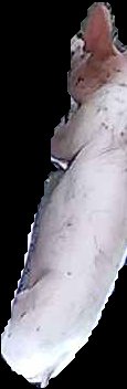 Crop