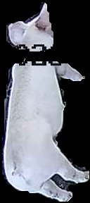 Crop