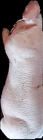 Crop