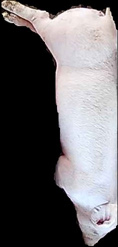 Crop