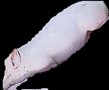 Crop