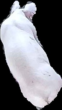 Crop