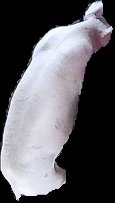 Crop