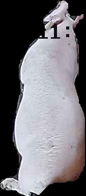 Crop