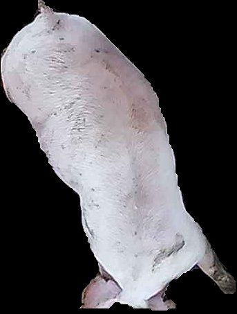 Crop