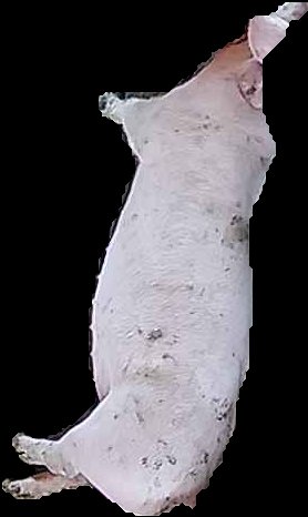 Crop