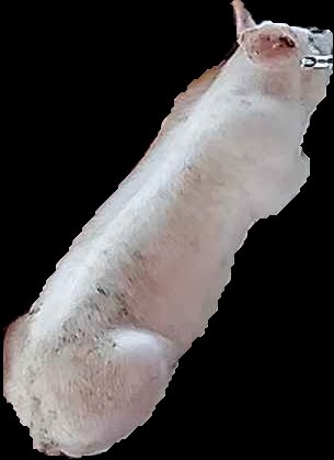 Crop