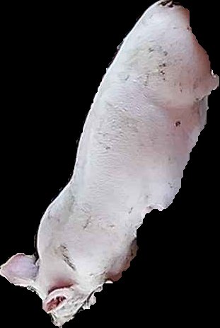 Crop