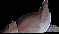 Crop