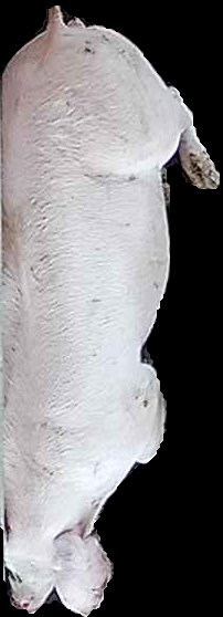 Crop