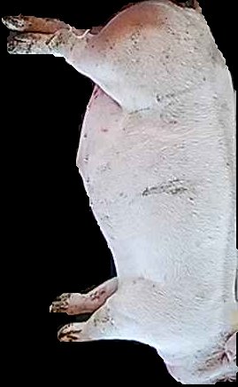 Crop