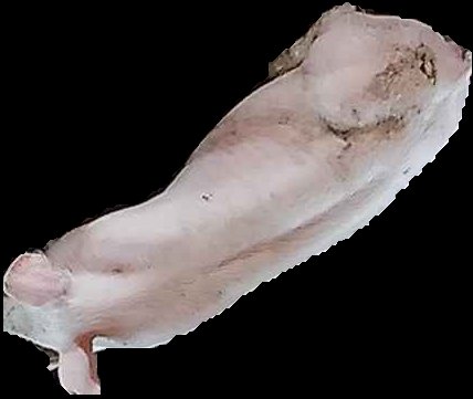 Crop