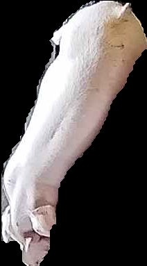 Crop