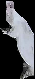 Crop