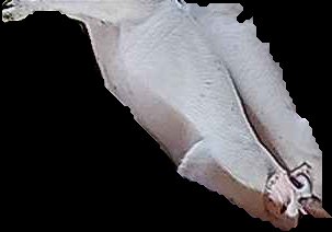 Crop