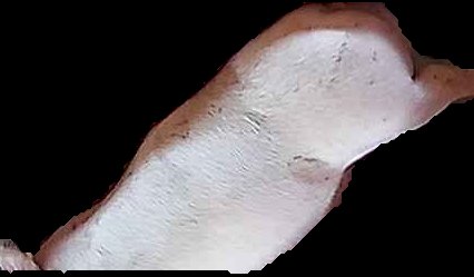 Crop