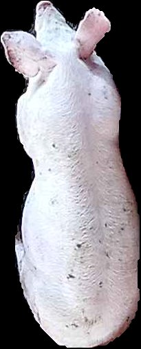 Crop