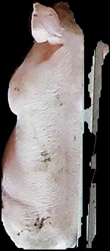 Crop