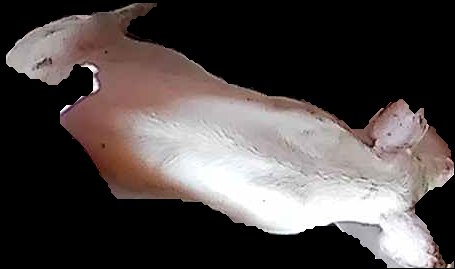 Crop