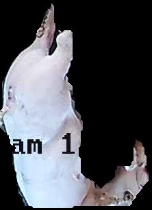Crop