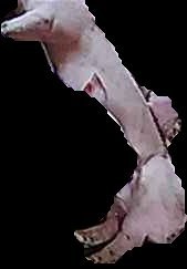 Crop