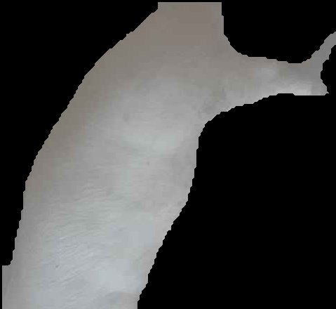 Crop