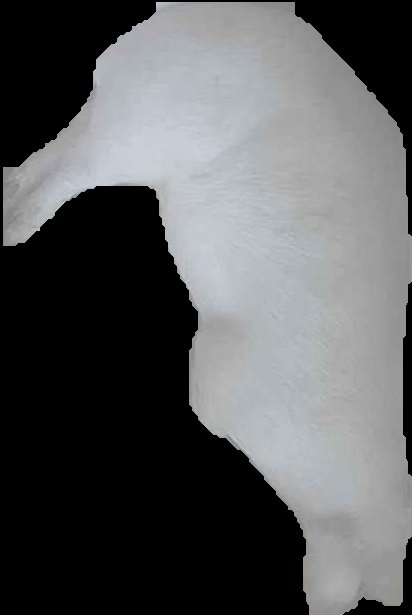 Crop