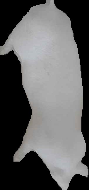 Crop
