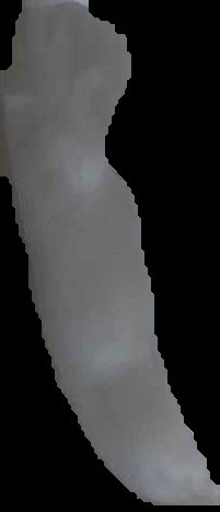 Crop