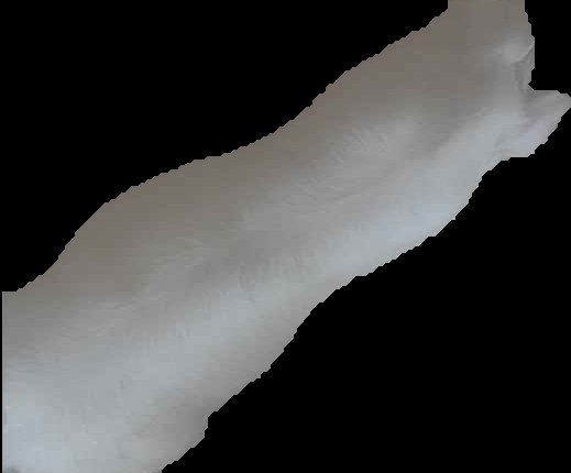 Crop