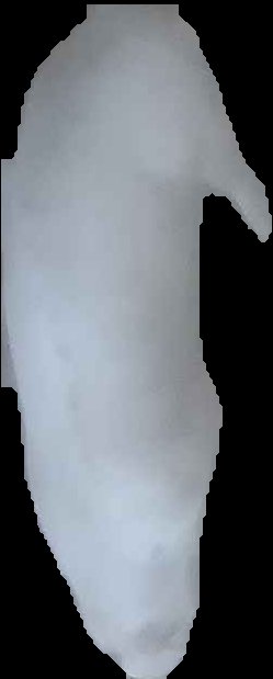 Crop