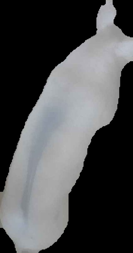 Crop