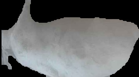 Crop