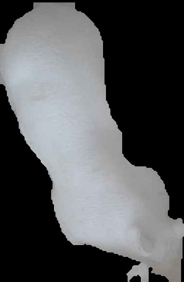 Crop