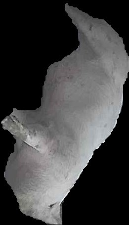 Crop