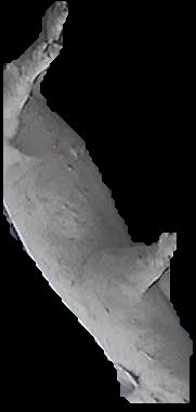 Crop