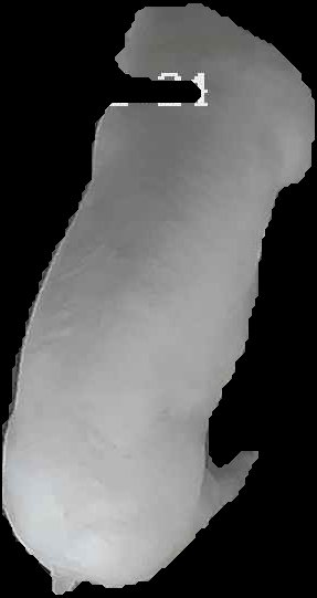 Crop