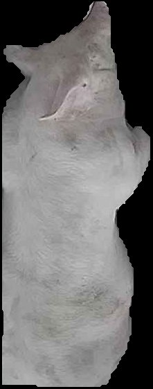 Crop