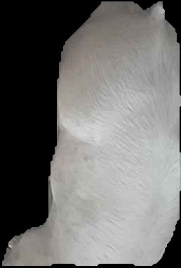 Crop