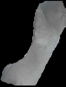 Crop