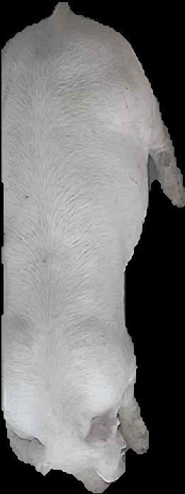 Crop