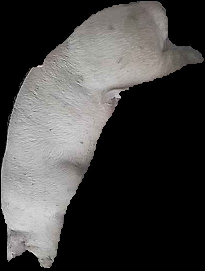Crop
