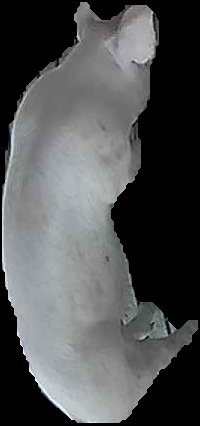 Crop