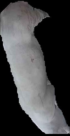 Crop