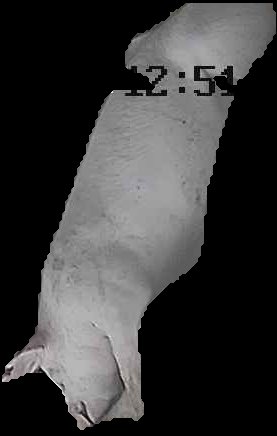 Crop