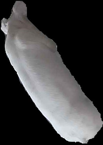 Crop