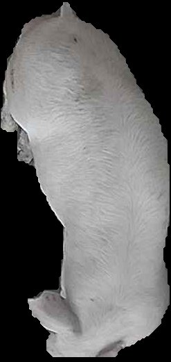 Crop