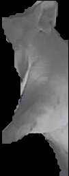 Crop